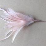 Heckle And Biot Feather Pick - Nude