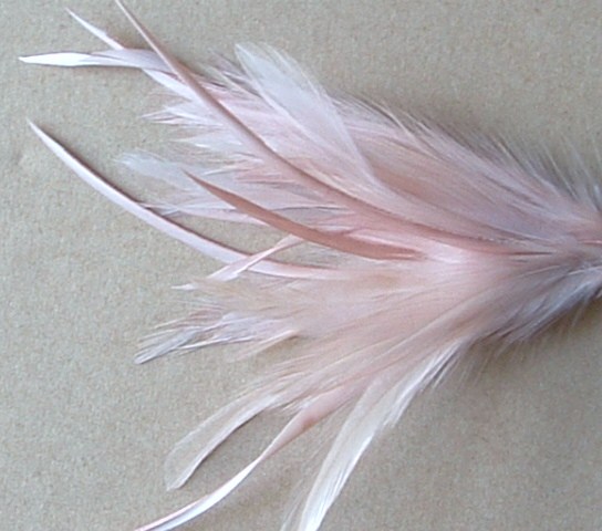 Heckle And Biot Feather Pick - Nude
